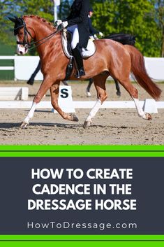 a woman riding on the back of a brown horse with text overlay reading how to create cadance in the dressage horse