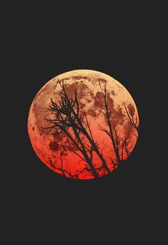 Shoot The Moon, Fly Me To The Moon, Moon Pictures, Lunar Eclipse, Sun Moon Stars, Blood Moon, Beautiful Moon, Moon Magic, Chiaroscuro