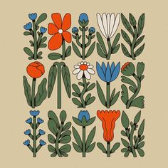 an illustration of flowers and leaves in orange, blue, and green on a beige background