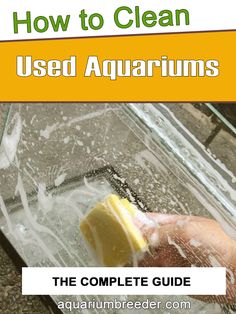 the complete guide to how to clean used aquariums