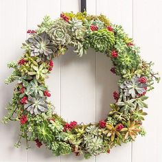 a wreath with succulents and berries hanging on a wall