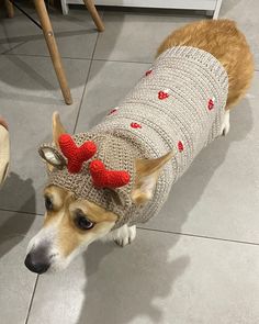 a dog wearing a knitted sweater with red hearts on it's ears and nose