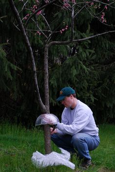 a man kneeling down next to a tree with an umbrella over his head and another person holding something in front of him