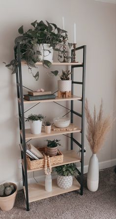 a shelf filled with potted plants next to a white vase and some other items