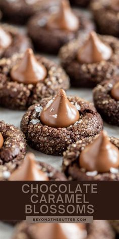 chocolate caramel blossom cookies on a baking sheet with text overlay that reads, chocolate caramel blossoms