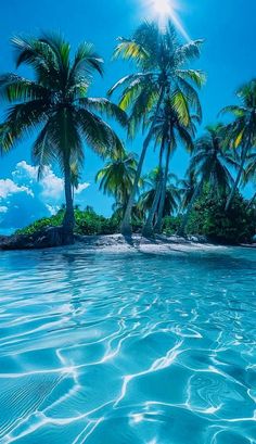 an island with palm trees in the water and sun shining on it's surface