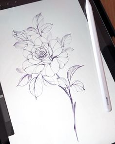 a pencil drawing of a flower on a sheet of paper