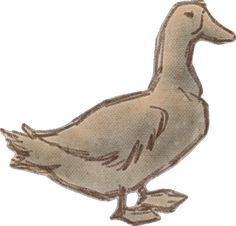 a drawing of a duck on a white background