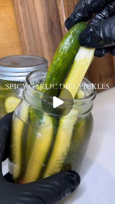 Alex Rios on Instagram: "Spicy Garlic Dill Pickle 🥒🌶️ recipe ⬇️  1 bag pickling cucumbers, rinsed cut into spheres & slices 1 cup apple cider vinegar 1 cup white vinegar 2 cups water 3 tbsp pickling salt or kosher salt 2 tsp black peppercorns (1 tsp per jar) 2 tsp mustard seeds (1 tsp per jar) Fresh dill, about 2-3 stalks each jar 2 red chili peppers, sliced (1 per jar) 8 whole garlic cloves (4-5 per jar) 2 bay leaves (1 per jar)  Slice mini cucumbers into any shape you like. Let vinegar and salt come to a boil. Set aside. Fill jar with garlic, peppercorns, mustard seeds, dill and bay leaves. Pack cucumbers into 2 16 oz mason jars. Pour pickling liquid until fully submerged. Flip jars for a few minutes before refrigerating. Ready in 2 hours or overnight.  #pickles #homemadepickles #pickl Spicy Pickle Recipes, Homemade Pickles Dill, Recipes Sides, Spicy Pickles, Pickling Salt