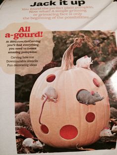 an advertisement for a pumpkin with mice on it