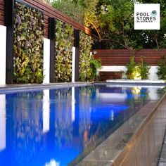 A small swimming pool among trees, wood and flowers Best Stainless Steel Cleaner, Pvc Pipe Fittings, Fiberglass Pools, Building A Pool, Modern Backyard