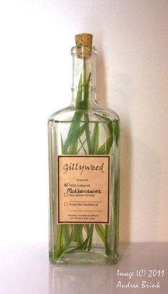 a bottle filled with green leaves sitting on top of a table