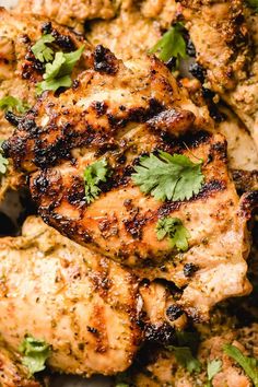 grilled chicken with cilantro and parsley on top