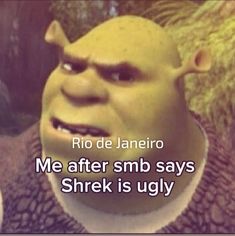 an animated character with the words, me after smb says shrk is ugly