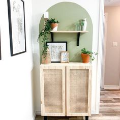 a shelf with some plants on top of it