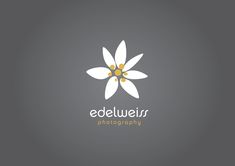 the logo for edelweir photography is shown on a gray background with white and yellow flowers