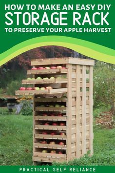 an easy diy storage rack to preserve your apple harvest by practical self - reliance