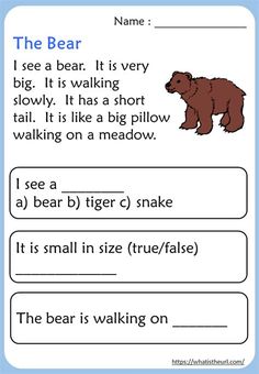 the bear worksheet for children to learn how to read and understand their surroundings