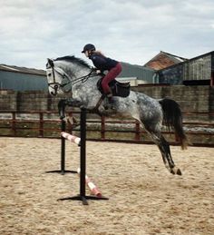 a woman riding on the back of a gray horse over an obstacle in a corral