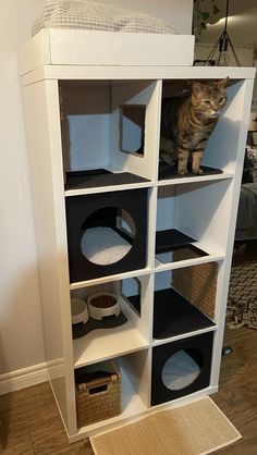 a cat sitting on top of a white book shelf filled with black and grey shelves