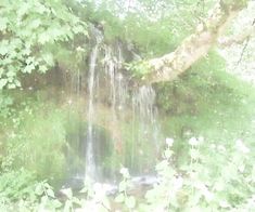 there is a small waterfall in the middle of some trees and grass with water cascading over it