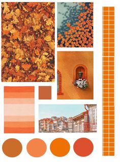 an assortment of oranges and browns are featured in the color palette for this photo