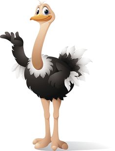 an ostrich standing with its legs crossed