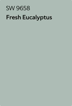 the words fresh eucalyptusus are written in black on a light green background with white lettering