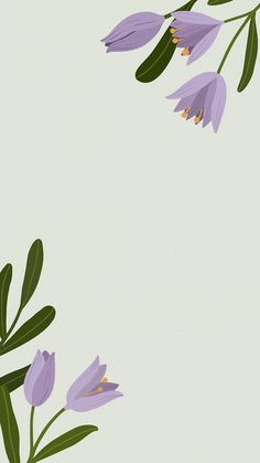 some purple flowers on a light green background