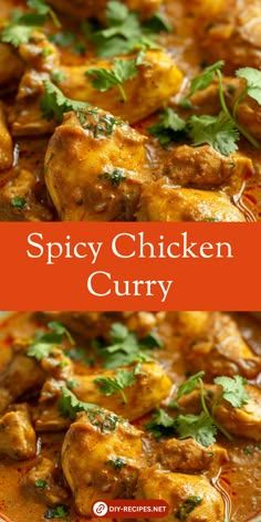 spicy chicken curry with cilantro and parsley