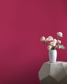 a white vase with some pink flowers in it on a table against a bright pink wall