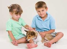 two children sitting on the floor petting a small brown and white dog's ear