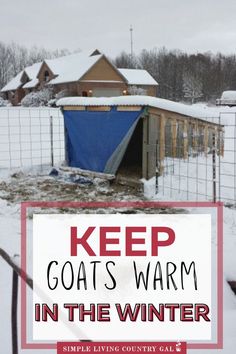 a house with the words keep goats warm in the winter, and an image of a shed