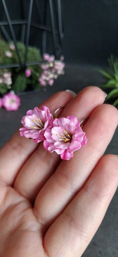 small pink flowers sitting in the palm of someone's hand