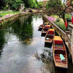 rowboats lined up along the side of a river in a park area with trees and flowers