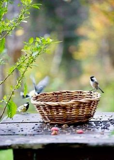 a wicker basket sitting on top of a wooden table next to a bird feeder