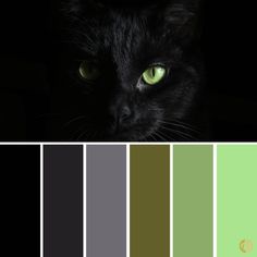 a black cat with green eyes is shown in color swatches and the image appears to be dark