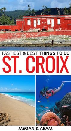 the best things to do in st croix, saint martin's and other islands