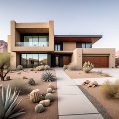 a desert home with cactus and cacti in the front yard