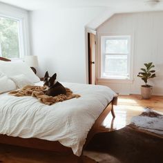 a dog laying on top of a white bed in a bedroom next to a window