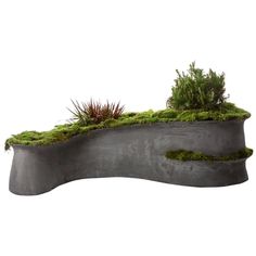 an unusual concrete bench with moss growing on the top and bottom, in front of a white background