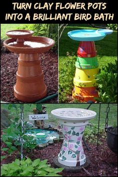 there are four different types of flower pots in the garden and one is made out of clay