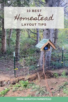 a bird house in the woods with text overlay that reads 10 best homemade layout tips