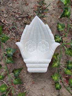 a white vase sitting on top of a dirt ground next to green plants and leaves