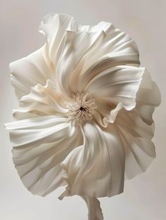 White Flower Resembling Evening Gown Ruffles Flower Detail Photography, Science Visualization, Flowy Flowers, Gown Ruffles, Modern Florals, Inspirational Digital Art, Feather Flower, Leaf Background, Cream Flowers