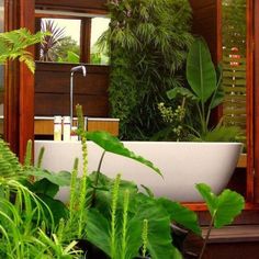 a bathtub surrounded by plants and greenery