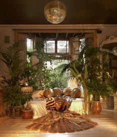 a living room filled with lots of furniture and plants