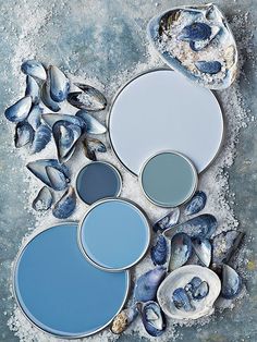 the color palette is blue and has different shades to choose from, including oysters