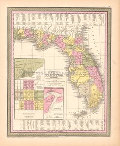 a map of the state of florida in pink, yellow and green with other states