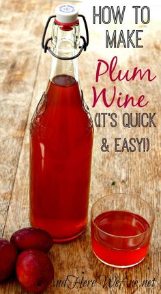 how to make plum wine it's quick and easy